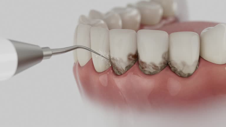 Reliable Dental contractor in Belle Meade, TN by Dentist Open Now